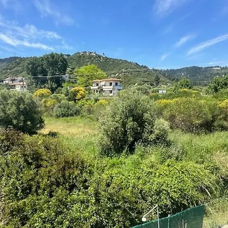 House Nativa Мола-Калива