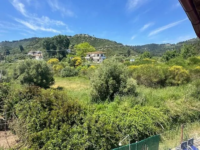 House Nativa 莫拉卡里瓦